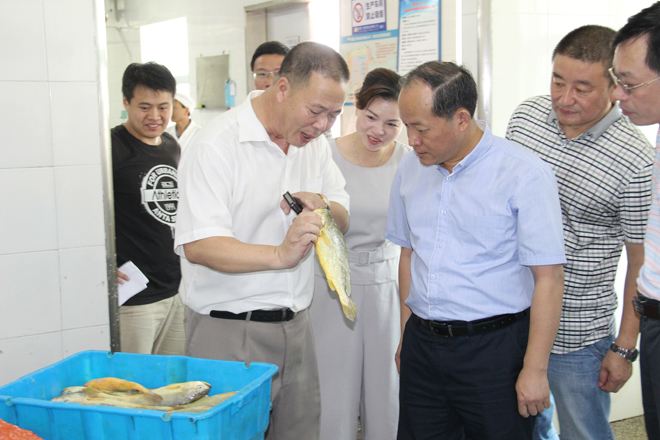 福建“面朝大?！奔涌炝魍▌?chuàng)新